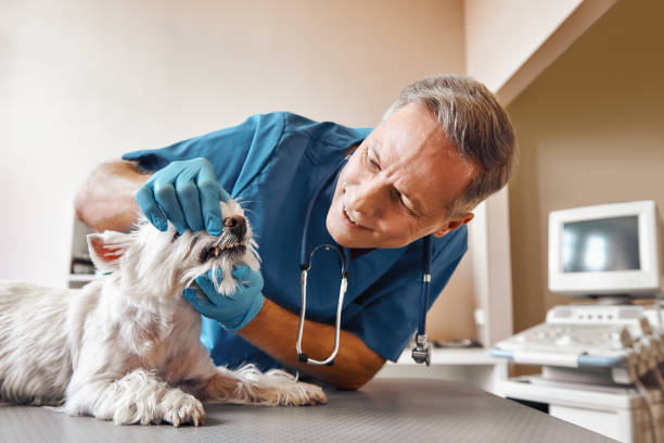 Best Emergency Dental Clinic in NV
